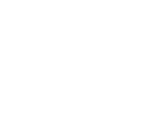 All In Solutions Counseling Center Behavioral Healthcare LOGO Trans