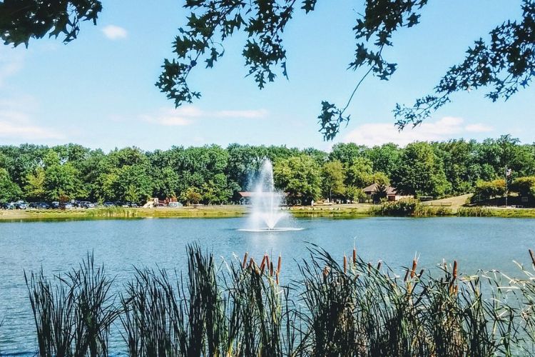 laurel acres park in mt laurel township, new jersey. find a rehab near me